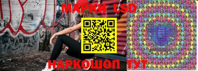 гидропоника Заволжье